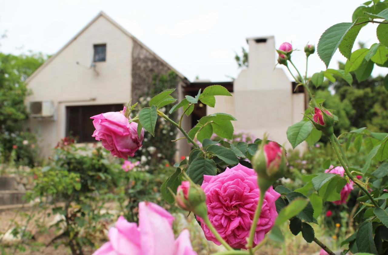 Wildebraam Berry Estate Villa Swellendam Buitenkant foto