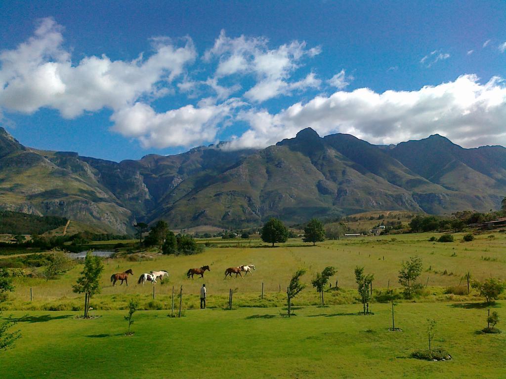 Wildebraam Berry Estate Villa Swellendam Buitenkant foto