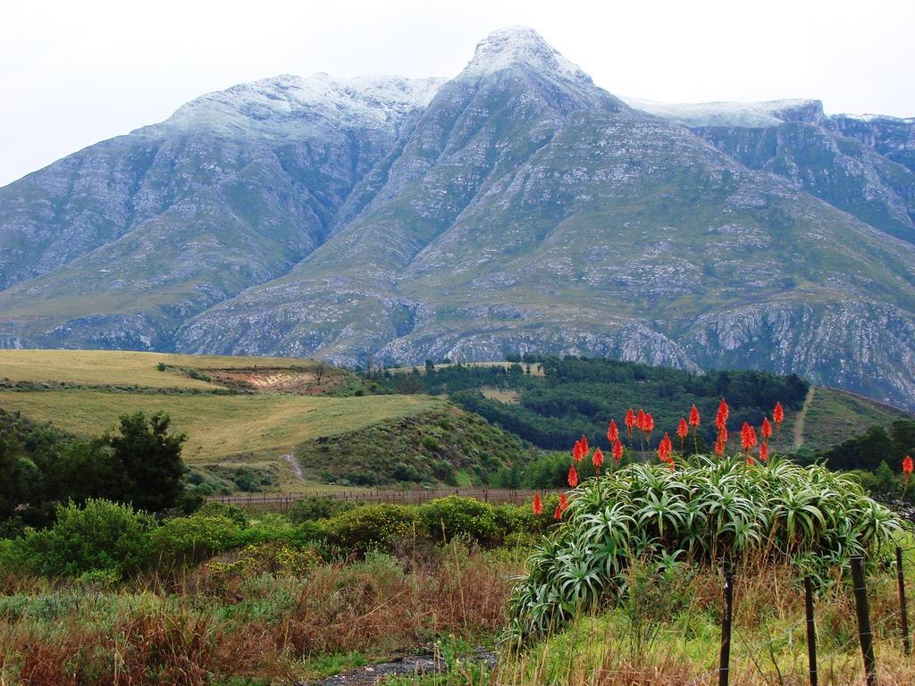 Wildebraam Berry Estate Villa Swellendam Buitenkant foto